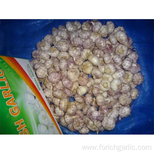 Hot Sale Fresh Normal White Garlic